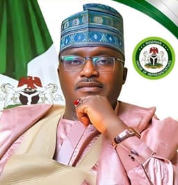 Abubakar Ahmed: Most governors rushing to conduct local government elections to keep receiving federal allocations