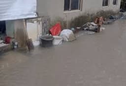 Lagos residents share houses with crocodiles, debris as coastal road project sinks communities