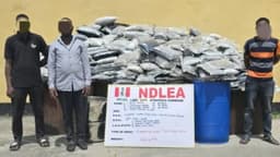 NDLEA recovers 722,875 pills of opioids, arrests 14 suspects in 6 states