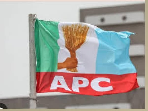 LG polls: APC wins all 57 chairmanship seats, 375 councillorship seats