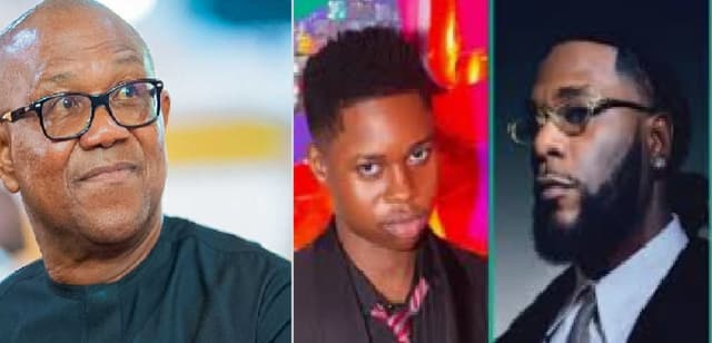 Peller, Burna Boy, Peter Obi set social media on fire