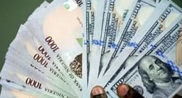 Nigeria faces external shock risks as dollar inflows dip