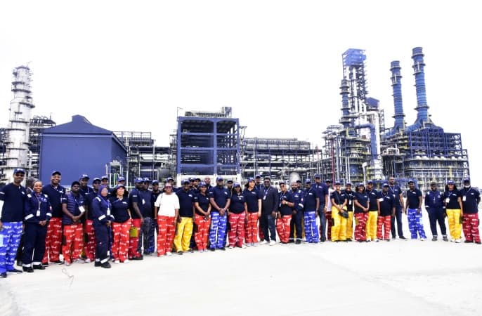 Africans will develop Africa, Dangote tells Global CEOs