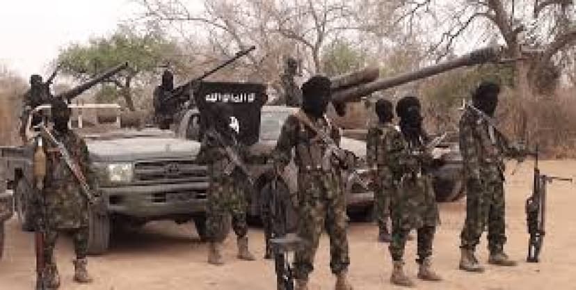 Two boys miraculously escape from Boko Haram captivity in Borno