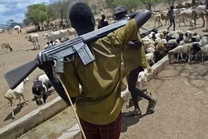 How Fulani militia killings escape global attention — Security expert
