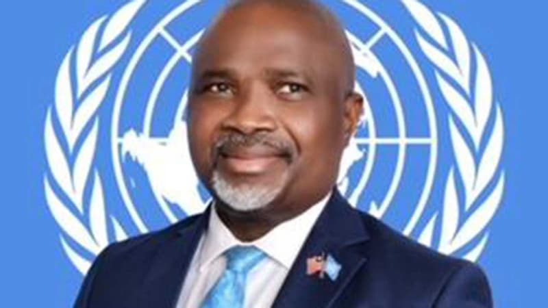 How Nigerian businesses violate human rights — Prof Emelonye