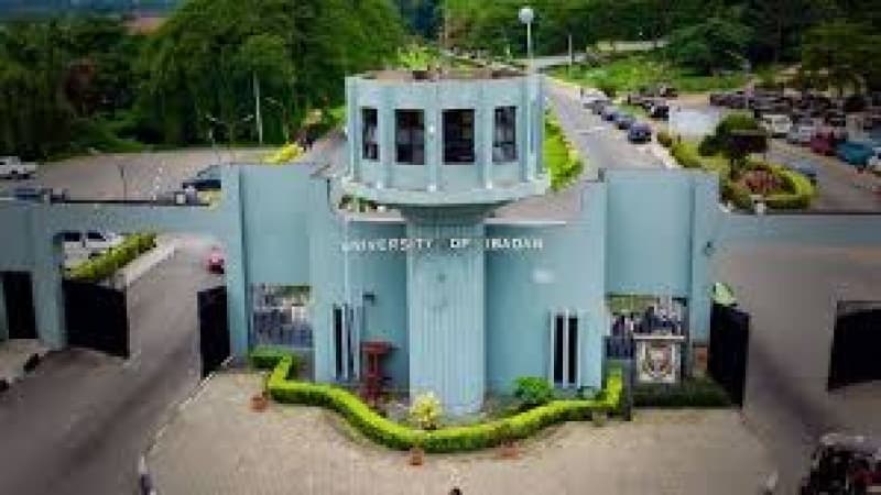 How University Of Ibadan spent N358million on refreshments, honorarium, N23million on laboratory materials in 2023