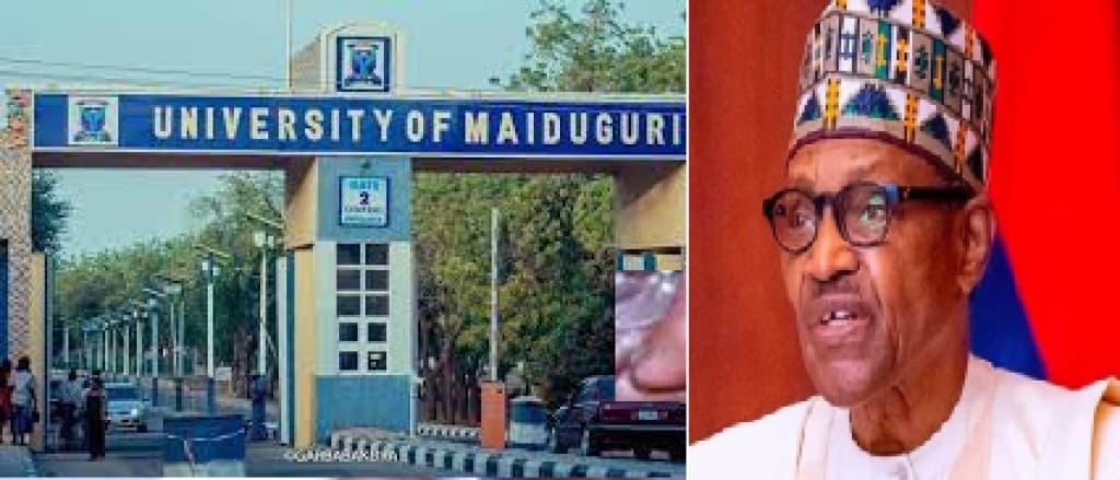 Why UNIMAID was renamed after Buhari — Education ministry