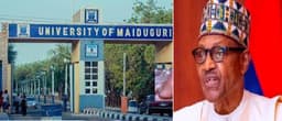 Why UNIMAID was renamed after Buhari — Education ministry