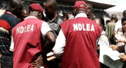 NDLEA seizes large quantities of banned drugs in 5 states, detains 15 suspects