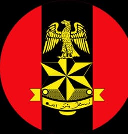 Army arrests 183 suspected fraudsters in Delta