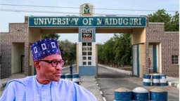 University of Maiduguri Alumni, students reject renaming institution after Buhari