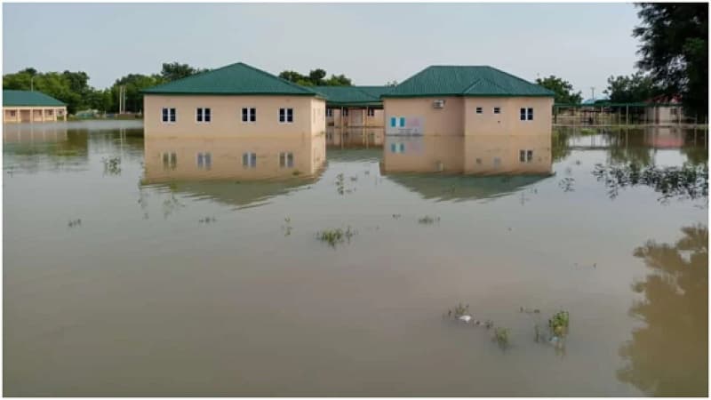 Sapele flood victims need your voices: An Open Letter to the Chairman of Sapele Local Government Area, Hon. Bright Afure Abeke