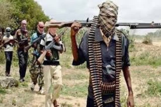Gunmen abduct LG secretary, others in Borno