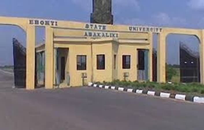 Ebonyi Varsity celebrates billionaire alumnus who sold mangoes to pursue education