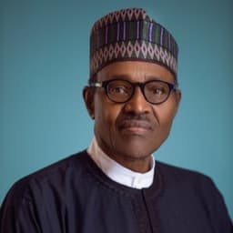 Buhari used Nigerian doctors, says ex-spokesman Garba Shehu