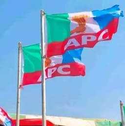 Revealed: How APC plots to win Osun in 2026