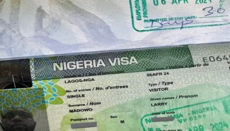Expired visas: Overstayers have till September for regularisation, says FG