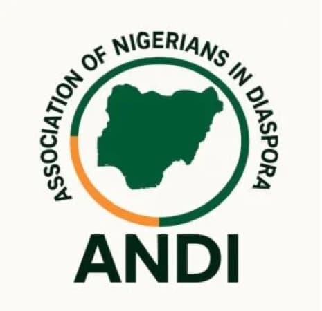 Nigerians in diaspora decry demolition of investments, seek FG intervention