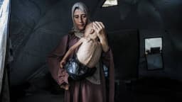 Gazans 'wasting away' as mass starvation spreads, humanitarian groups warn