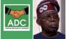 ADC slams Tinubu over US travel advisory