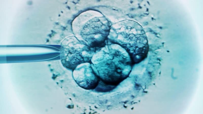 'Like a sci-fi movie': US baby born from 30-year-old frozen embryo breaks record