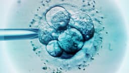 'Like a sci-fi movie': US baby born from 30-year-old frozen embryo breaks record
