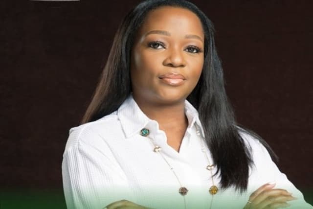 Tinubu appoints Majekodunmi DG, Council on Climate change