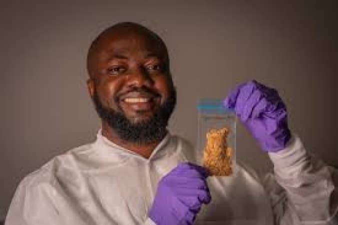 If egusi can reach space, so can young Nigerians — Oniosun, the space scientist who sent seeds to ISS