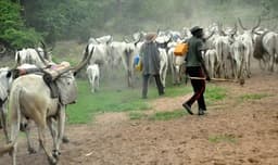 Fulani herder shot dead in Taraba