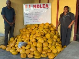 Court sentences businessman, wife to 22 years for drug trafficking