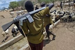 Suspected herdsmen kill Police officer, eight others in Benue