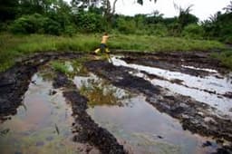 FENRAD demands environmental justice in indigenous oil-impacted communities