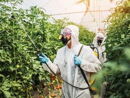 AAPN raises alarm over widespread use of highly hazardous pesticides