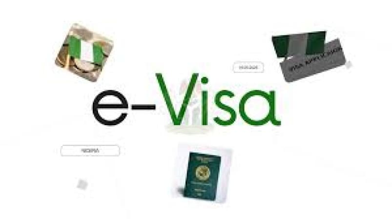 E- Visa and E-CERPAC policy frustrating expatriates, foreign businessmen — Transparency group report reveals
