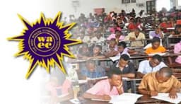 Glitched grades: WAEC in crisis over result errors