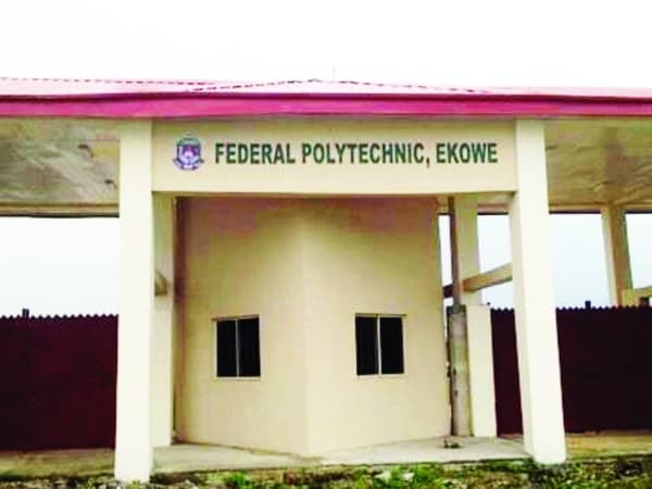 Fed Polytechnic Ekowe Governing Council sets up panel to probe Rector over alleged breach of Polytechnic Act