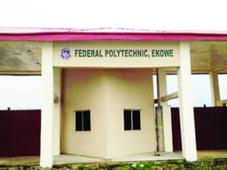 Fed Polytechnic Ekowe Governing Council sets up panel to probe Rector over alleged breach of Polytechnic Act