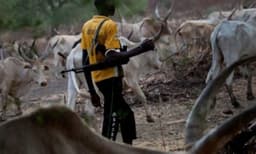 Five injured as herders, farmers clash in Kano