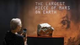 Mars rock found in Niger sells for millions in New York — now the country wants answers