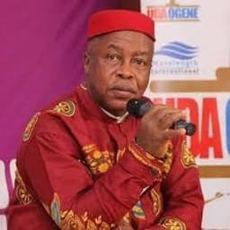APC govt wants little or no opposition — Uwazurike