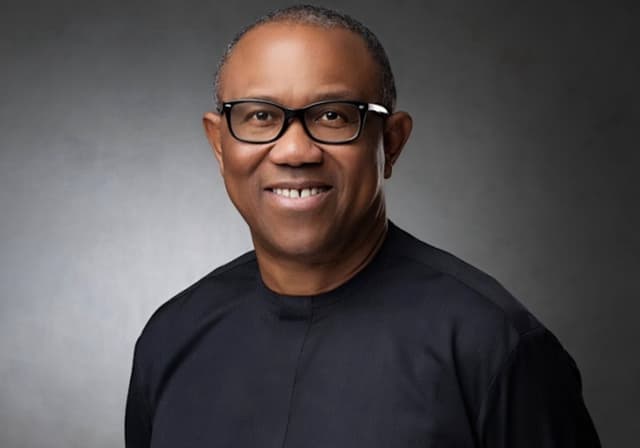Peter Obi committed to one-term presidency, LP — Yunusa