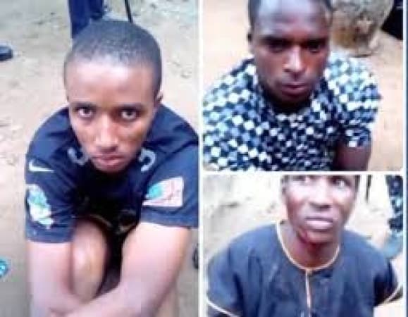 Suspected abductors of AAUA staff nabbed while sharing ransom in Ondo forest