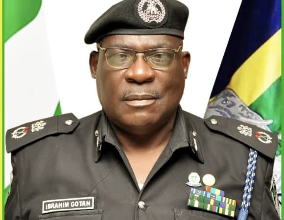 Osun-Osogbo festival: Police arrest suspect over alleged theft of 5 mobile phones
