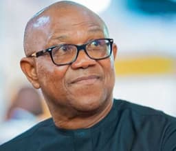 2027: Why Peter Obi will not get PDP, ADC, LP presidential ticket — Presidency