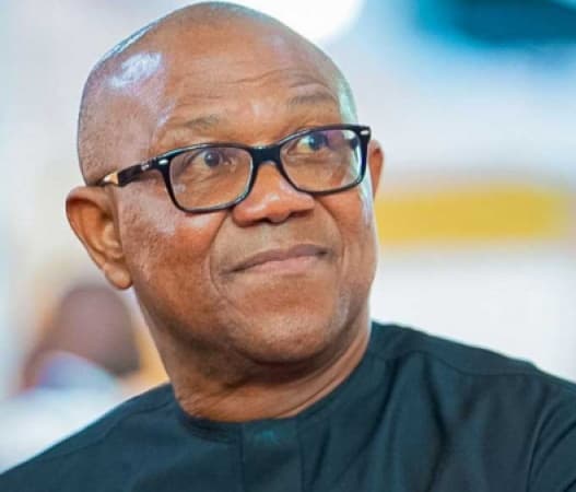 2027: Why Peter Obi will not get PDP, ADC, LP presidential ticket — Presidency