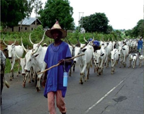 Ebonyi monarch warns against killing herdsmen's cows