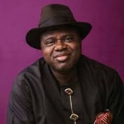 Diri heads PDP’s 46-member Convention Zoning Committee