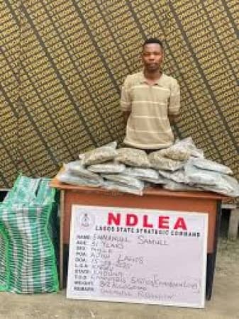 NDLEA arrests notorious drug kingpin in Delta