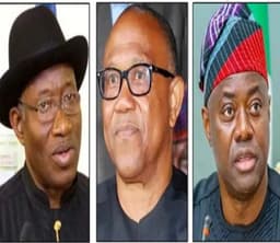 2027: PDP leaders disagree over Jonathan, Obi, Makinde